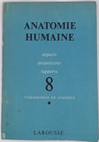 [Collectif] "Anatomie humaine - aspects, proportions rapports - 8 transparents en couleurs"