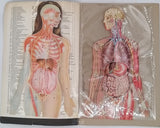 [Collectif] "Anatomie humaine - aspects, proportions rapports - 8 transparents en couleurs"