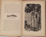 BEAUREGARD Henri (Docteur) "Nos parasites - Parasites de l'homme - Animaux et végétaux"