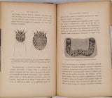 BEAUREGARD Henri (Docteur) "Nos parasites - Parasites de l'homme - Animaux et végétaux"