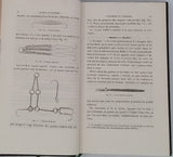 MOJSISOVICS ELDEN VON MOSJAR August "Manuel de Zootomie - Guide Pratique pour la Dissection des Animaux Vertébrés et Invertébrés à l'usage des Etudiants en Médecine et des Elèves qui préparent la licence ès sciences naturelles"