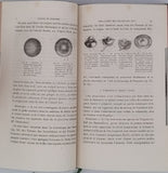 MOJSISOVICS ELDEN VON MOSJAR August "Manuel de Zootomie - Guide Pratique pour la Dissection des Animaux Vertébrés et Invertébrés à l'usage des Etudiants en Médecine et des Elèves qui préparent la licence ès sciences naturelles"