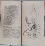 MOJSISOVICS ELDEN VON MOSJAR August "Manuel de Zootomie - Guide Pratique pour la Dissection des Animaux Vertébrés et Invertébrés à l'usage des Etudiants en Médecine et des Elèves qui préparent la licence ès sciences naturelles"