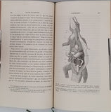 MOJSISOVICS ELDEN VON MOSJAR August "Manuel de Zootomie - Guide Pratique pour la Dissection des Animaux Vertébrés et Invertébrés à l'usage des Etudiants en Médecine et des Elèves qui préparent la licence ès sciences naturelles"