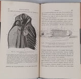 MOJSISOVICS ELDEN VON MOSJAR August "Manuel de Zootomie - Guide Pratique pour la Dissection des Animaux Vertébrés et Invertébrés à l'usage des Etudiants en Médecine et des Elèves qui préparent la licence ès sciences naturelles"