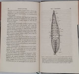 MOJSISOVICS ELDEN VON MOSJAR August "Manuel de Zootomie - Guide Pratique pour la Dissection des Animaux Vertébrés et Invertébrés à l'usage des Etudiants en Médecine et des Elèves qui préparent la licence ès sciences naturelles"