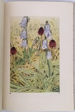 BORDEAUX Henry [Texte], ROBERT Paul-André [Illustrations] "Les fleurs des Alpes"