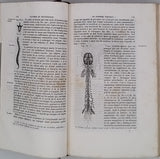 MILNE-EDWARDS Henri "Élémens de Zoologie ou leçons sur l'anatomie, la physiologie, la classification et les mœurs des animaux"