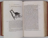 MILNE-EDWARDS Henri "Élémens de Zoologie ou leçons sur l'anatomie, la physiologie, la classification et les mœurs des animaux"