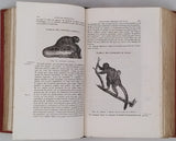 MILNE-EDWARDS Henri "Élémens de Zoologie ou leçons sur l'anatomie, la physiologie, la classification et les mœurs des animaux"