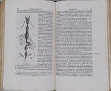 MILNE-EDWARDS Henri "Élémens de Zoologie ou leçons sur l'anatomie, la physiologie, la classification et les mœurs des animaux"