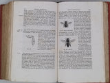 MILNE-EDWARDS Henri "Élémens de Zoologie ou leçons sur l'anatomie, la physiologie, la classification et les mœurs des animaux"