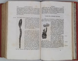 MILNE-EDWARDS Henri "Élémens de Zoologie ou leçons sur l'anatomie, la physiologie, la classification et les mœurs des animaux"