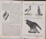 MILNE-EDWARDS Henri  "Cours élémentaire d'Histoire naturelle - Zoologie"