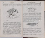 MILNE-EDWARDS Henri  "Cours élémentaire d'Histoire naturelle - Zoologie"