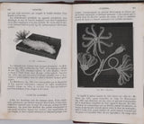 MILNE-EDWARDS Henri  "Cours élémentaire d'Histoire naturelle - Zoologie"