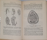 ANGEL Fernand "VIE ET MOEURS DES AMPHIBIENS - Grenouilles, Crapauds, Tritons, Salamandres, Cécilies"