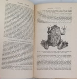 ANGEL Fernand "VIE ET MOEURS DES AMPHIBIENS - Grenouilles, Crapauds, Tritons, Salamandres, Cécilies"