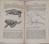 ANGEL Fernand "VIE ET MOEURS DES AMPHIBIENS - Grenouilles, Crapauds, Tritons, Salamandres, Cécilies"