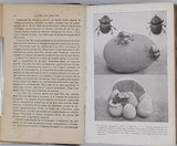 FABRE Jean-Henri "La Vie des Insectes - Morceaux choisis Extraits des Souvenirs Entomologiques"