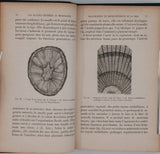 GIRARD Jules "Les plantes étudiées au microscope"