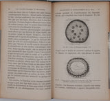 GIRARD Jules "Les plantes étudiées au microscope"