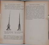 GIRARD Jules "Les plantes étudiées au microscope"