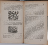 GIRARD Jules "Les plantes étudiées au microscope"