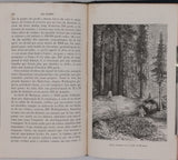 LESBAZEILLES Eugène "Les Forêts"