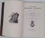 CHENU Jean-Charles "Encyclopédie d'Histoire Naturelle - Coléoptères" (3 Volumes)