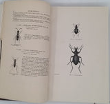 CHENU Jean-Charles "Encyclopédie d'Histoire Naturelle - Coléoptères" (3 Volumes)