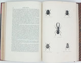 CHENU Jean-Charles "Encyclopédie d'Histoire Naturelle - Coléoptères" (3 Volumes)