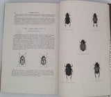 CHENU Jean-Charles "Encyclopédie d'Histoire Naturelle - Coléoptères" (3 Volumes)