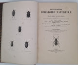 CHENU Jean-Charles "Encyclopédie d'Histoire Naturelle - Coléoptères" (3 Volumes)