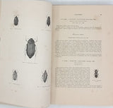 CHENU Jean-Charles "Encyclopédie d'Histoire Naturelle - Coléoptères" (3 Volumes)