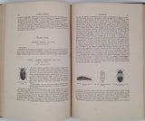 CHENU Jean-Charles "Encyclopédie d'Histoire Naturelle - Coléoptères" (3 Volumes)