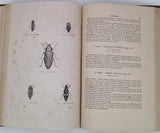 CHENU Jean-Charles "Encyclopédie d'Histoire Naturelle - Coléoptères" (3 Volumes)