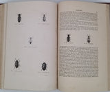 CHENU Jean-Charles "Encyclopédie d'Histoire Naturelle - Coléoptères" (3 Volumes)