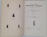 CHENU Jean-Charles "Encyclopédie d'Histoire Naturelle - Coléoptères" (3 Volumes)