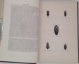 CHENU Jean-Charles "Encyclopédie d'Histoire Naturelle - Coléoptères" (3 Volumes)