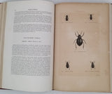 CHENU Jean-Charles "Encyclopédie d'Histoire Naturelle - Coléoptères" (3 Volumes)