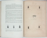 CHENU Jean-Charles "Encyclopédie d'Histoire Naturelle - Coléoptères" (3 Volumes)