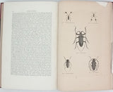 CHENU Jean-Charles "Encyclopédie d'Histoire Naturelle - Coléoptères" (3 Volumes)