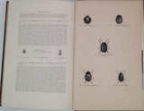 CHENU Jean-Charles "Encyclopédie d'Histoire Naturelle - Coléoptères" (3 Volumes)