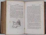 MORFIT Campbell "The arts of tanning, currying, and leather-dressing; theoretically and practically considered in all their details. Edited from the French of J. De Fontenelle and F. Malepeyre, with numerous emendations and additions, by Campbell Morfit"