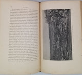 HAMILTON Angus "En Corée - Esquisse historique - La Cour Impériale - Les Factions du Palais - Agriculture et Commerce, Ports à Traités - L'Action Etrangère - Intérêts Russes et Japonais - La Femme en Corée - La vie monacale Bouddhique"