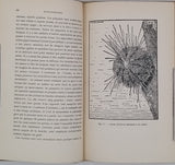 BOULENGER Edward George "La faune des océans - Histoire naturelle de la mer"