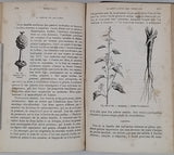 DELAFOSSE Gabriel "Précis élémentaire d'Histoire Naturelle"