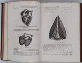 GERVAIS Paul "Éléments de Zoologie comprenant l'Anatomie, la Physiologie, la Classification et l'Histoire Naturelle des Animaux"