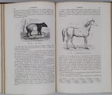 GERVAIS Paul "Éléments de Zoologie comprenant l'Anatomie, la Physiologie, la Classification et l'Histoire Naturelle des Animaux"